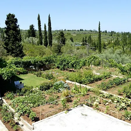 Lejlighed Despoina *